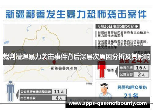 裁判遭遇暴力袭击事件背后深层次原因分析及其影响