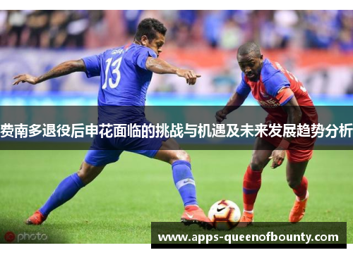 费南多退役后申花面临的挑战与机遇及未来发展趋势分析