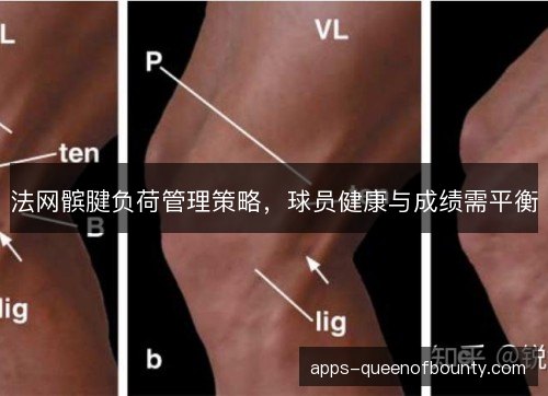 法网髌腱负荷管理策略，球员健康与成绩需平衡